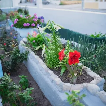 Βίλα Αντώνης Kampos  Exterior photo