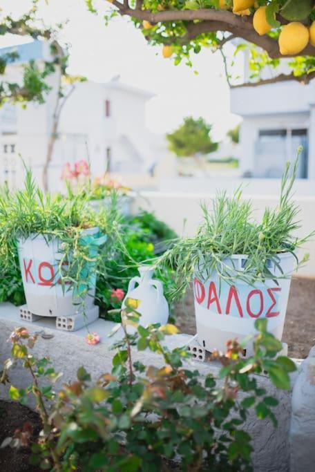 αντώνης Holiday home Kampos (Kos)
